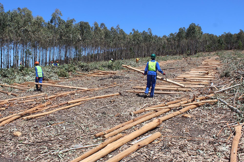 customer-feedback-1-adam-from-the-usa-5